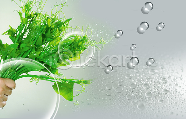 사람 신체부위 PSD 편집이미지 공기방울 물 물방울 물백그라운드 백그라운드 손 식물 신체 이슬 채소 풀(식물)