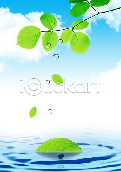 사람없음 PSD 편집이미지 구름(자연) 나뭇잎 물 물결 물방울 물백그라운드 백그라운드 식물 잎 하늘