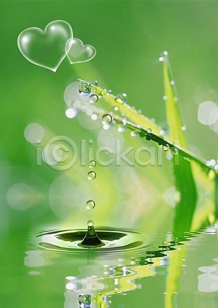 사람없음 PSD 편집이미지 물 물결 물방울 물백그라운드 백그라운드 식물 이슬 잎 초록색 풀(식물) 풀잎 하트