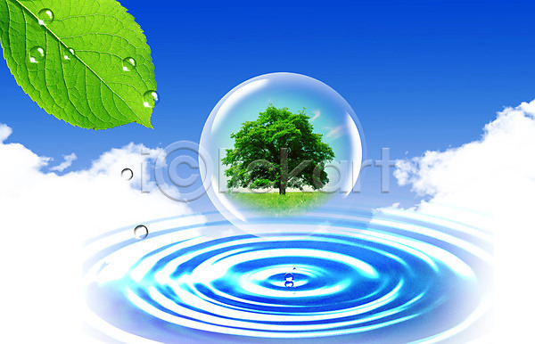사람없음 PSD 편집이미지 구름(자연) 나무 나뭇잎 물 물결 물방울 물백그라운드 백그라운드 식물 이슬 잎 하늘 한그루