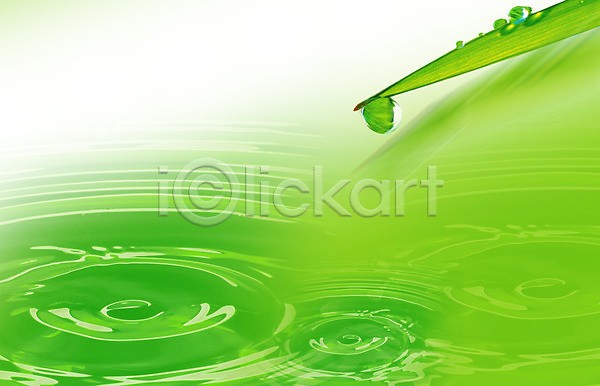 사람없음 PSD 편집이미지 물 물결 물방울 물백그라운드 백그라운드 식물 이슬 잎 초록색 풀(식물) 풀잎