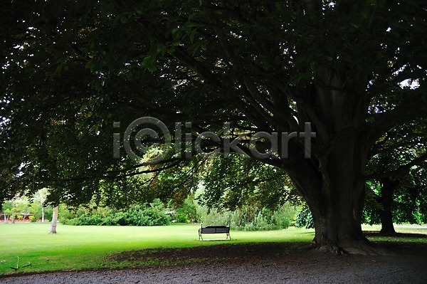상쾌 여유 사람없음 JPG 포토 공원 나무 남섬 뉴질랜드 벤치 식물 야외 잔디 크라이처치공원 풍경(경치)