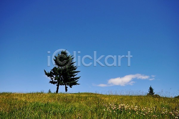 상쾌 여유 사람없음 JPG 포토 구름(자연) 나무 뉴질랜드 야외 초원(자연) 퀸즈타운 풍경(경치) 하늘