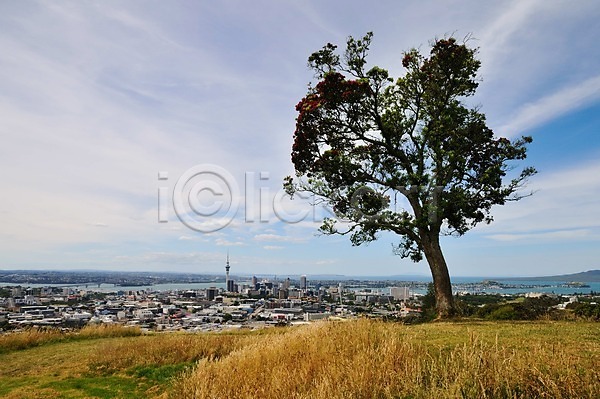 상쾌 여유 사람없음 JPG 포토 구름(자연) 나무 뉴질랜드 도시 야외 에덴동산 오클랜드 초원(자연) 풍경(경치) 하늘