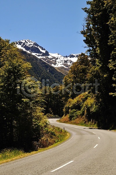 상쾌 여유 사람없음 JPG 포토 가로수 뉴질랜드 도로 산 숲 야외 중앙선 풍경(경치)