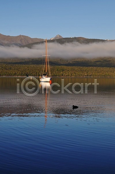 상쾌 여유 사람없음 JPG 포토 뉴질랜드 동물 배(교통) 산 야외 오리 조류 테아나우 풍경(경치) 한마리 호수