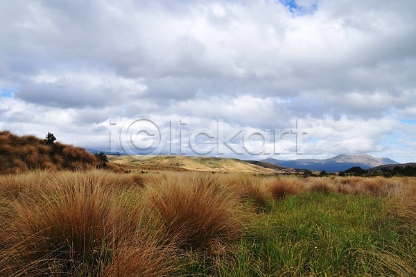 상쾌 여유 사람없음 JPG 포토 구름(자연) 남섬 뉴질랜드 식물 야외 초원(자연) 풍경(경치) 하늘