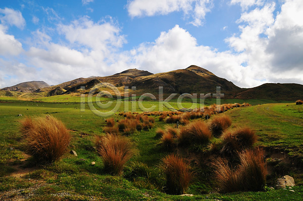 상쾌 여유 사람없음 JPG 포토 구름(자연) 남섬 뉴질랜드 산 식물 야외 초원(자연) 풍경(경치) 하늘