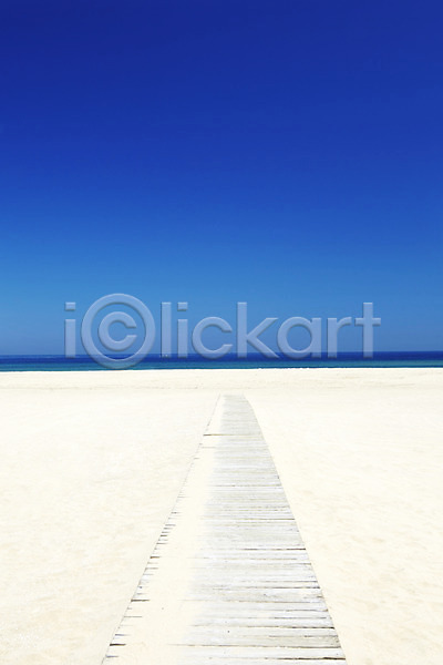 사람없음 JPG 포토 길 나무 나무길 모래 모래사장 바다 야외 여름(계절) 주간 풍경(경치) 하늘 해변