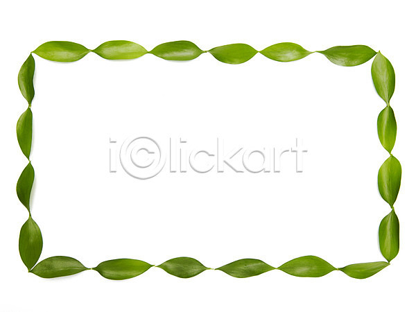 사람없음 JPG 포토 나뭇잎 백그라운드 스튜디오촬영 식물 실내 일렬 잎 초록색 컨셉 패턴 프레임
