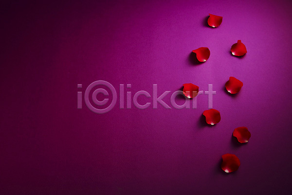 사람없음 JPG 포토 꽃 꽃백그라운드 꽃잎 무늬 문양 백그라운드 빨간색 스튜디오촬영 식물 실내 장미 컨셉 패턴