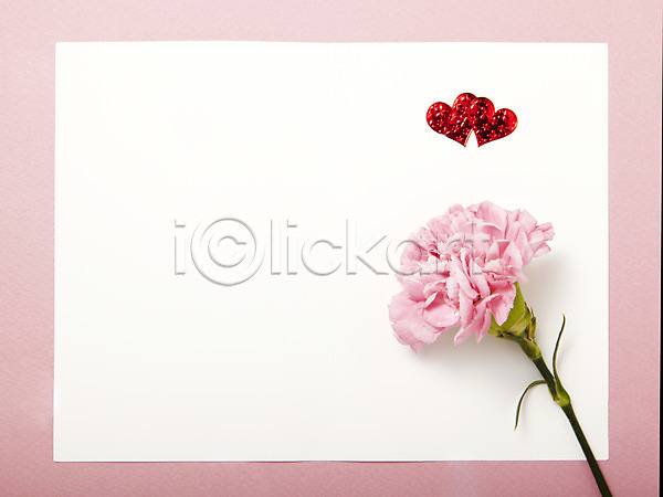 사랑 사람없음 JPG 포토 꽃 꽃백그라운드 꽃잎 백그라운드 분홍색 스튜디오촬영 식물 실내 카네이션 틀 프레임 하트 한개 한송이