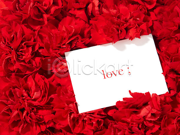 사랑 사람없음 JPG 포토 꽃 꽃백그라운드 꽃잎 무늬 문양 백그라운드 빨간색 스튜디오촬영 식물 실내 알파벳 영어 종이 카네이션 컨셉