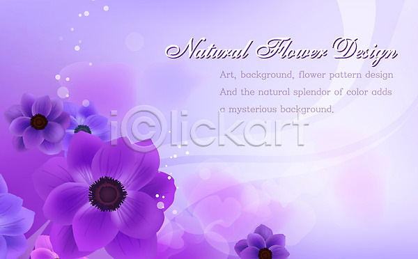 사람없음 EPS 일러스트 템플릿 꽃 꽃백그라운드 꽃잎 디자인 무늬 문양 백그라운드 보라색 식물 자연 플라워배경
