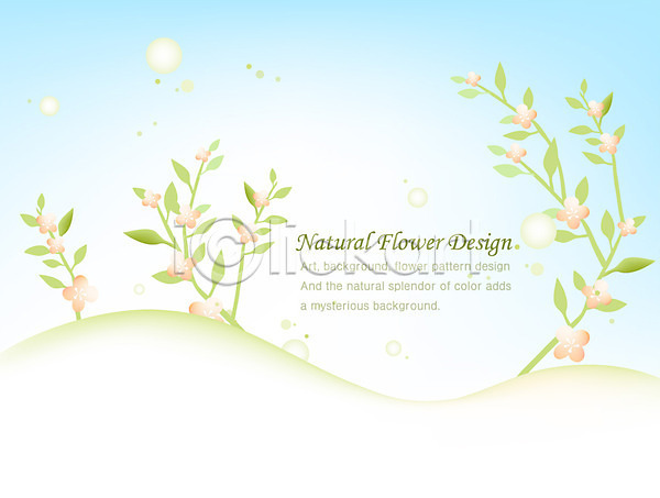 사람없음 EPS 일러스트 템플릿 꽃 꽃백그라운드 꽃잎 나뭇잎 디자인 백그라운드 식물 잎 자연 줄기 플라워배경