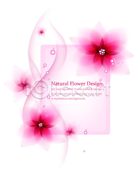 사람없음 EPS 일러스트 템플릿 꽃 꽃백그라운드 꽃잎 디자인 무늬 문양 백그라운드 분홍색 식물 자연 플라워배경