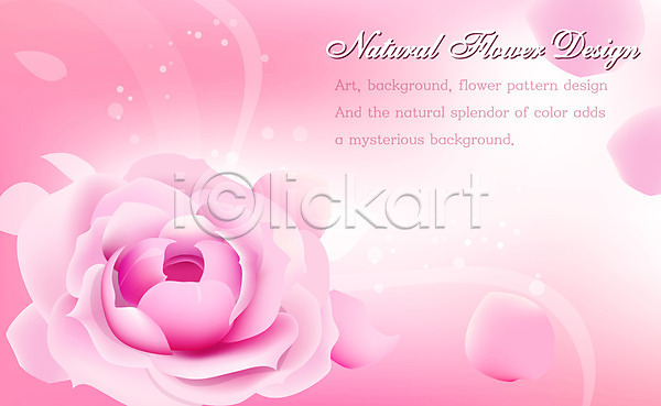 사람없음 EPS 일러스트 템플릿 꽃 꽃백그라운드 꽃잎 디자인 무늬 문양 백그라운드 분홍색 식물 자연 장미 플라워배경