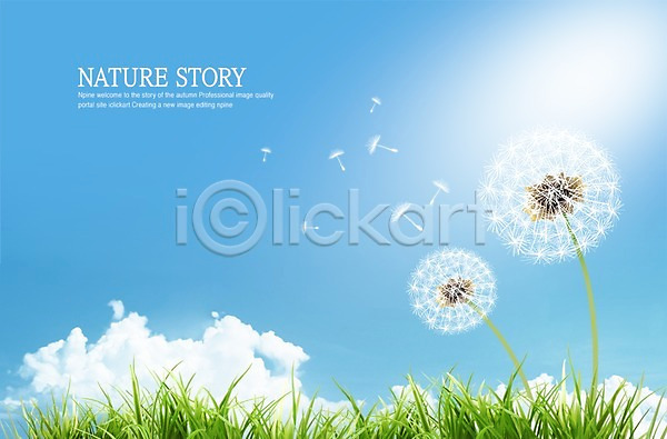 사람없음 PSD 편집이미지 계절 구름(자연) 날리기 민들레 민들레홀씨 백그라운드 봄 사계절 식물 자연 잔디 하늘