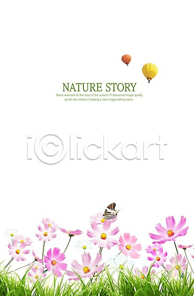 사람없음 PSD 편집이미지 가을(계절) 계절 곤충 공백 꽃 꽃밭 나비 동물 백그라운드 사계절 식물 열기구 자연 잔디 코스모스(꽃) 풀(식물) 한마리