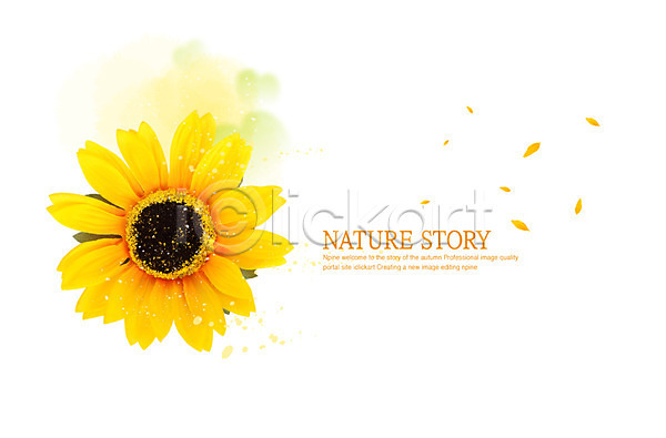 사람없음 PSD 편집이미지 계절 공백 꽃 꽃잎 노란색 백그라운드 사계절 식물 여름(계절) 자연 한송이 해바라기