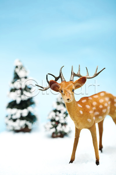 사람없음 JPG 포토 기념일 나무 루돌프 사슴 소나무 스튜디오촬영 실내 오브젝트 인형 장식 크리스마스 크리스마스용품 크리스마스트리