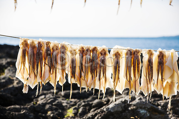 건조 사람없음 JPG 포토 관광지 국내여행 바다 섬 암석 야외 여행 오징어 자연 제주도 주간 풍경(경치) 한국