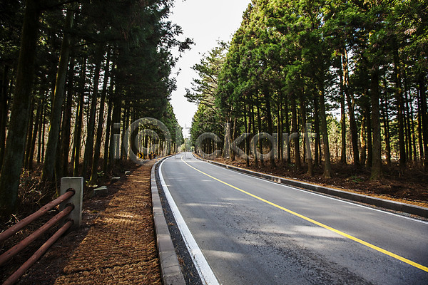 사람없음 JPG 포토 관광지 국내여행 나무 도로 숲 야외 여행 자연 전나무 정낭 제주도 주간 풍경(경치) 한국