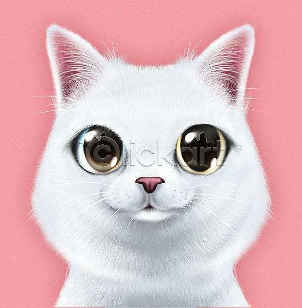 귀여움 사람없음 PSD 일러스트 고양이 눈동자 동물 반려 반려동물 반려묘 분홍색 오드아이 증명사진 터키시반 터키시앙고라 한마리