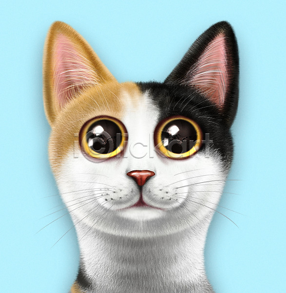 귀여움 사람없음 PSD 일러스트 고양이 눈동자 동물 반려 반려동물 반려묘 삼색고양이 재패니즈밥테일 증명사진 파란색 한마리