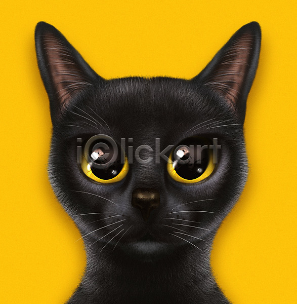 귀여움 사람없음 PSD 일러스트 고양이 노란색 눈동자 동물 반려 반려동물 반려묘 봄베이고양이 증명사진 한마리