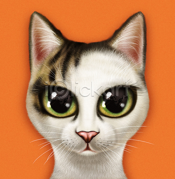 귀여움 사람없음 PSD 일러스트 고양이 길고양이 눈동자 동물 반려 반려동물 반려묘 삼색 주황색 증명사진 한마리
