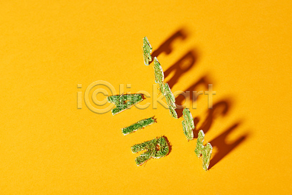 신선 사람없음 JPG 포토 건강 공기 그림자 날씨 노란배경 미세먼지 스튜디오촬영 식물 실내 환경