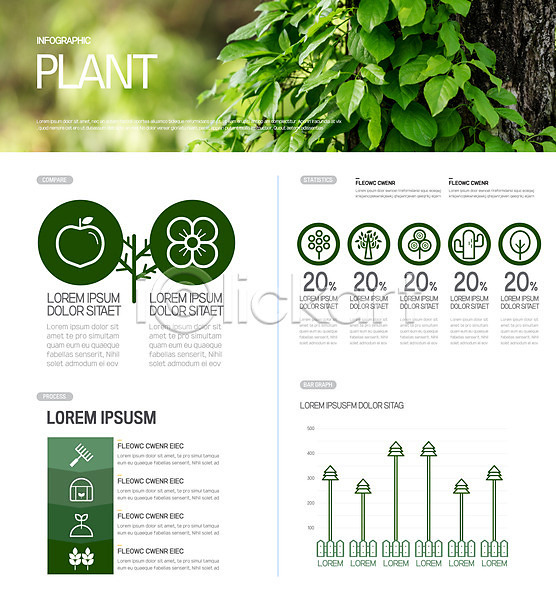사람없음 AI(파일형식) 일러스트 그래프 꽃 나무 나뭇잎 식물 열매 인포그래픽 자연 초록색