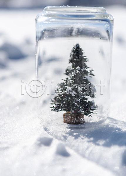 차가움 추위 사람없음 JPG 포토 강원도 겨울 겨울산 나무 눈(날씨) 대관령 산 야외 오브젝트 유리병 주간 크리스마스트리