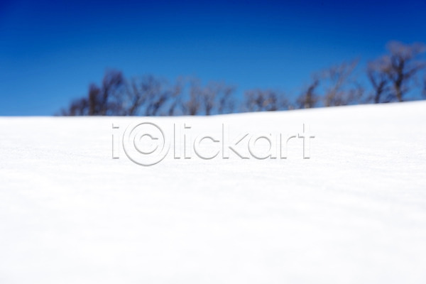 시원함 차가움 추위 사람없음 JPG 아웃포커스 포토 강원도 겨울 겨울산 겨울풍경 계절 눈(날씨) 눈내림 대관령 산 설원 야외 언덕 주간 흰색