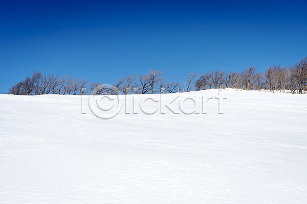 시원함 차가움 추위 사람없음 JPG 포토 강원도 겨울 겨울산 겨울풍경 계절 눈(날씨) 눈내림 대관령 산 설원 야외 언덕 주간 흰색