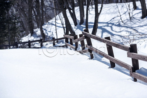 시원함 차가움 추위 사람없음 JPG 포토 강원도 겨울 겨울산 겨울풍경 계절 눈(날씨) 눈내림 대관령 등산 등산로 산 설원 안전 야외 주간 흰색