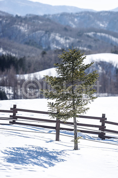 시원함 차가움 추위 사람없음 JPG 포토 강원도 겨울 겨울산 겨울풍경 계절 눈(날씨) 눈내림 대관령 등산 등산로 산 설원 안전 야외 주간 흰색