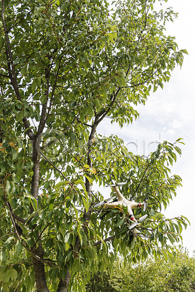 떨어짐 사람없음 JPG 포토 4차산업 걸림 나뭇가지 드론 부주의 비행 야외 주간 풍경(경치)
