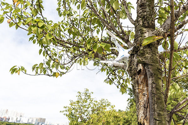떨어짐 사람없음 JPG 포토 4차산업 걸림 나뭇가지 드론 부주의 비행 야외 주간 풍경(경치)