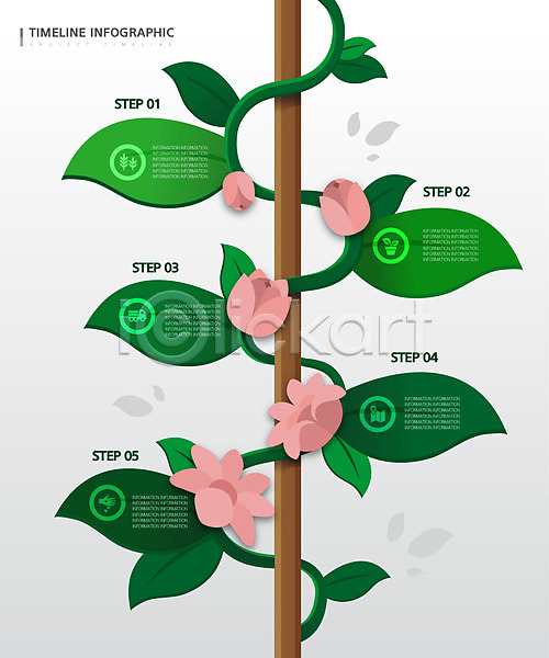 성장 성장과정 순서 사람없음 AI(파일형식) 일러스트 꽃 나뭇잎 인포그래픽 줄기 초록색 타임라인