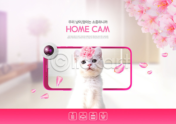 사람없음 PSD 편집이미지 감시카메라 고양이 꽃 반려 반려묘 분홍색 스마트폰 애묘 주택 집안 카메라 한마리