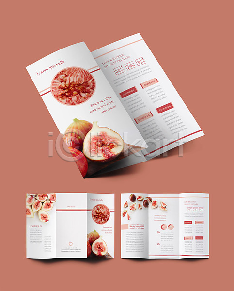 사람없음 INDD ZIP 인디자인 템플릿 3단접지 내지 농작물 리플렛 무화과 분홍색 팜플렛 표지 표지디자인