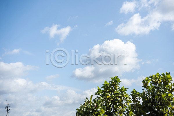 사람없음 JPG 포토 가을(계절) 구름(자연) 나무 날씨 야외 자연 주간 파란색 풍경(경치) 하늘