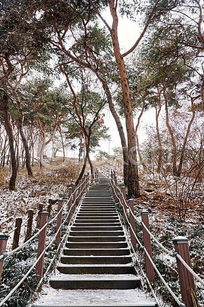 사람없음 JPG 포토 겨울 겨울풍경 계단 눈(날씨) 등산로 설경 수원 야외 전통 주간 초록색 풍경(경치) 화성(경기도) 흰색