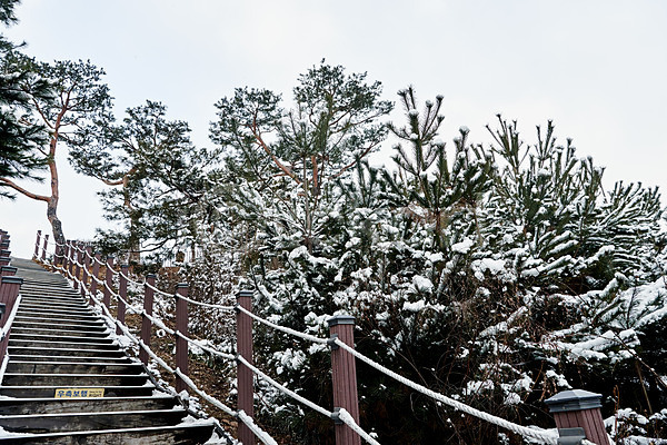 사람없음 JPG 포토 겨울 겨울풍경 계단 눈(날씨) 등산로 설경 소나무 수원 야외 주간 풍경(경치) 화성(경기도) 흰색