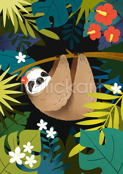 사람없음 PSD 일러스트 꽃 나무늘보 나뭇가지 나뭇잎 동물 매달리기 몬스테라 야자수잎 컬러풀 트로피컬아트 한마리