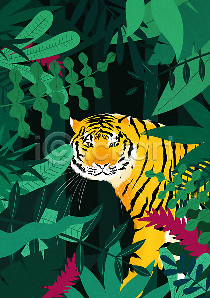 사람없음 PSD 일러스트 나뭇잎 동물 숲속 응시 초록색 트로피컬아트 한마리 호랑이
