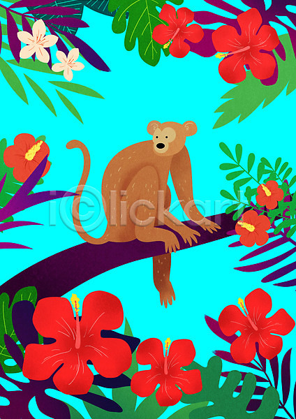 사람없음 PSD 일러스트 꽃 나무 나뭇잎 동물 앉기 원숭이 컬러풀 트로피컬아트 한마리 히비스커스
