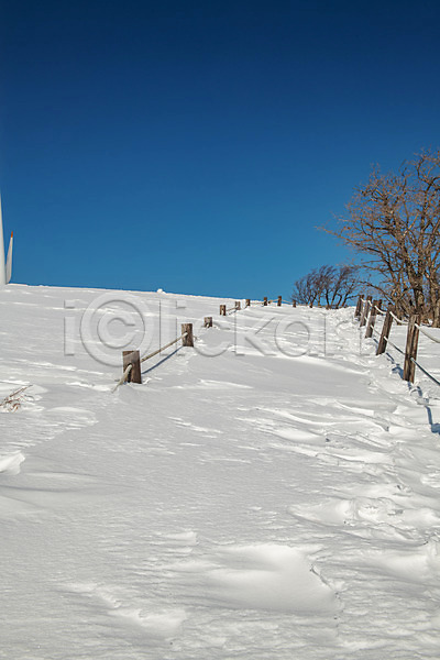 사람없음 JPG 포토 강릉 강원도 겨울 겨울풍경 계절 눈(날씨) 대관령 산책로 설원 야외 주간 파란색 흰색